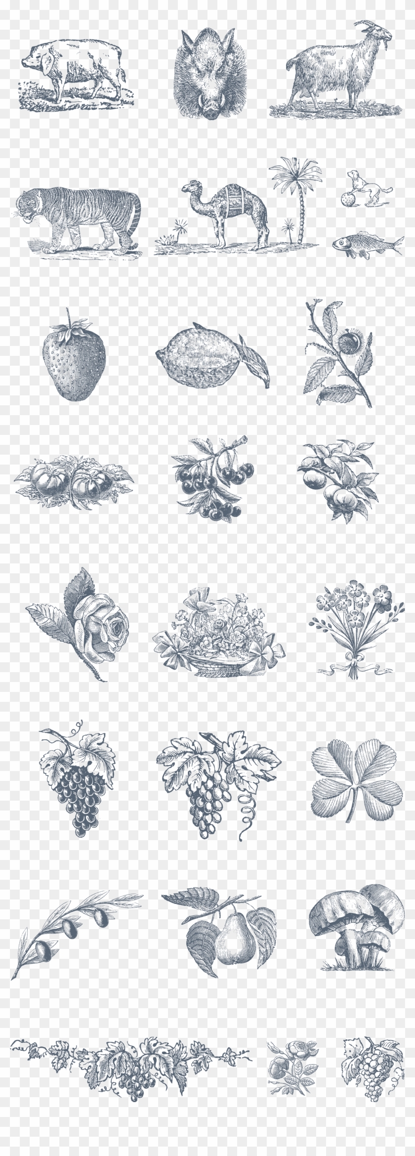 Preview All The Vector Illustrations Provided, Auto-traced Clipart #3715332