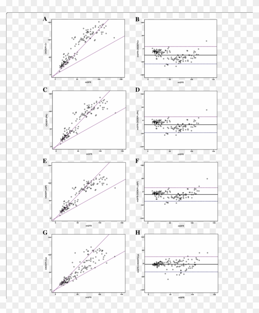 Accuracy Of Egfr Equations Against Mgfr - Line Art Clipart