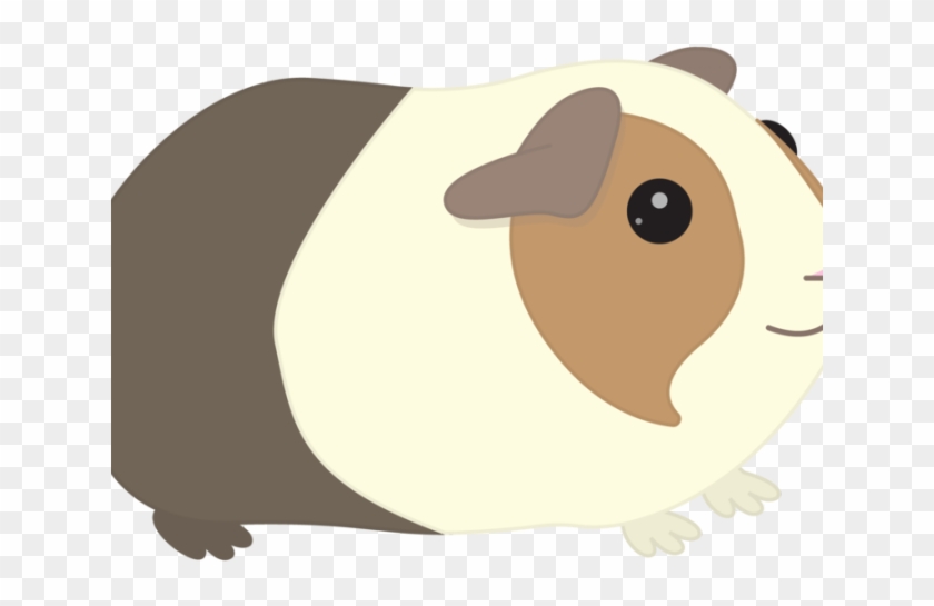 Clip Freeuse Stock Free On Dumielauxepices Net Real - Transparent Background Guinea Pig Png