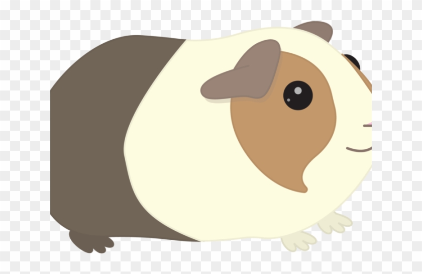 Clip Freeuse Stock Free On Dumielauxepices Net Real - Transparent Background Guinea Pig Png #3716293