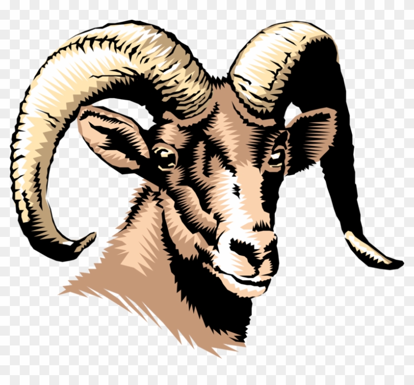 Vector Illustration Of Thinhorn Dall Sheep Head And - Richwood High School Logo Clipart
