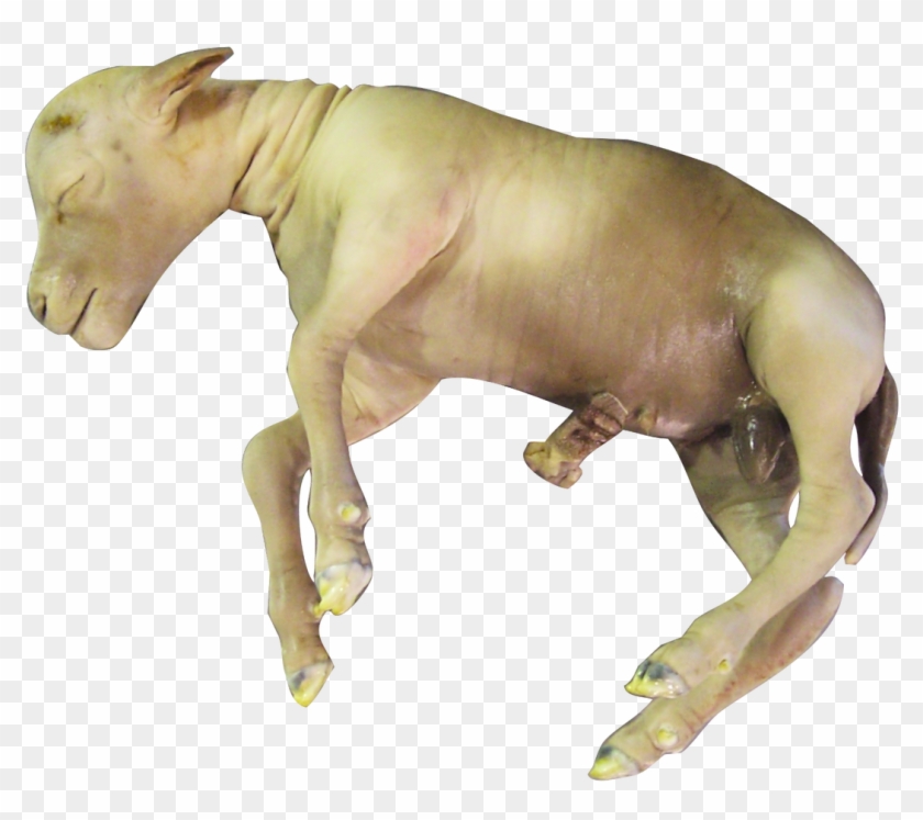 Loading Zoom - Cattle Clipart