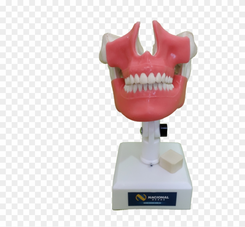 Fancybox - Smile Clipart