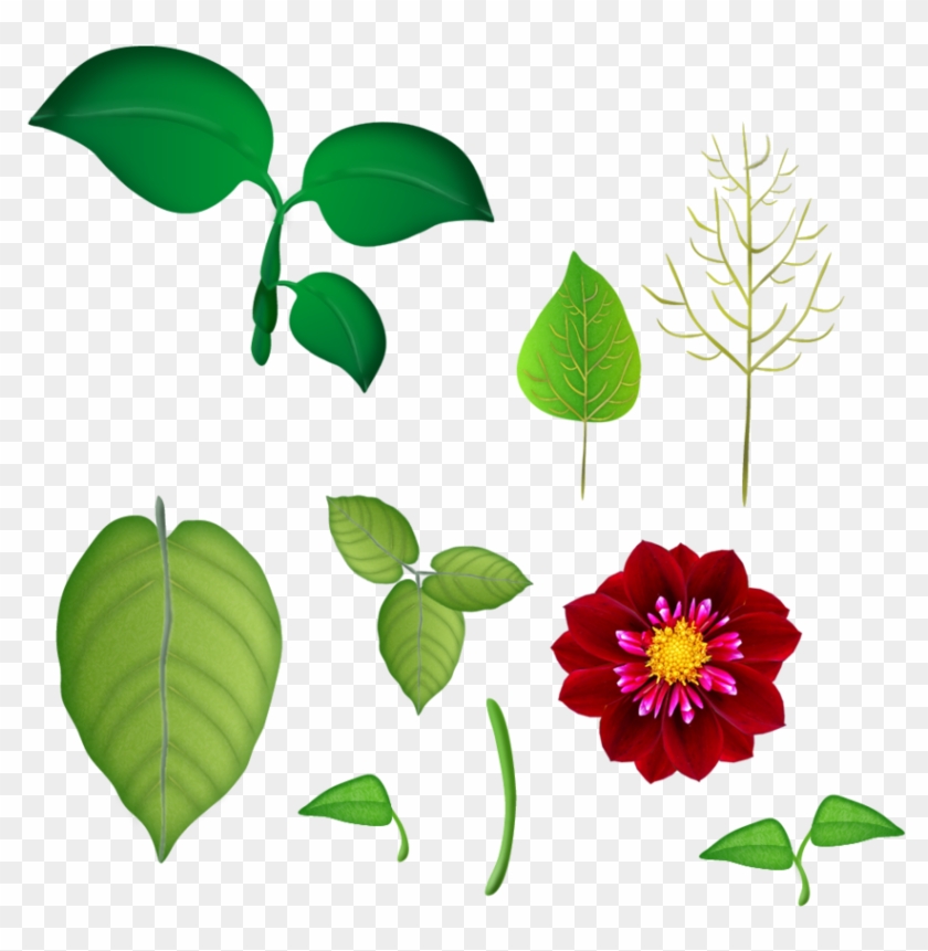 Flores E Folhas Png - Folhas De Flor Png Clipart