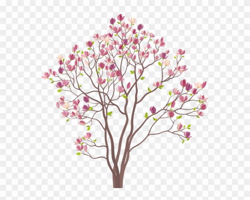 Árvores Árvore Folhas Rosa 2 Png - Magnolia Tree Vector Clipart