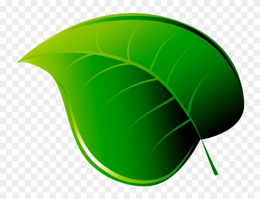 Folha Em Png - Folha Png Clipart