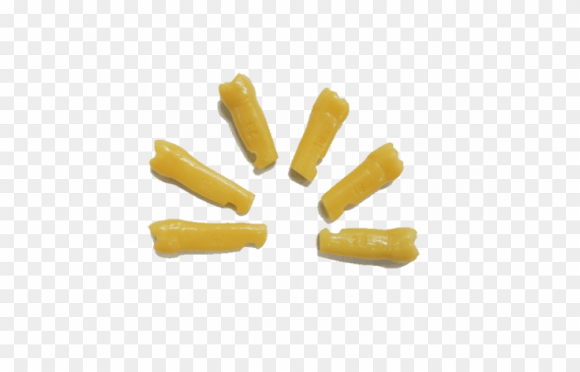 Dente Manequim- Pronew - Dente Manequim Prodens Clipart