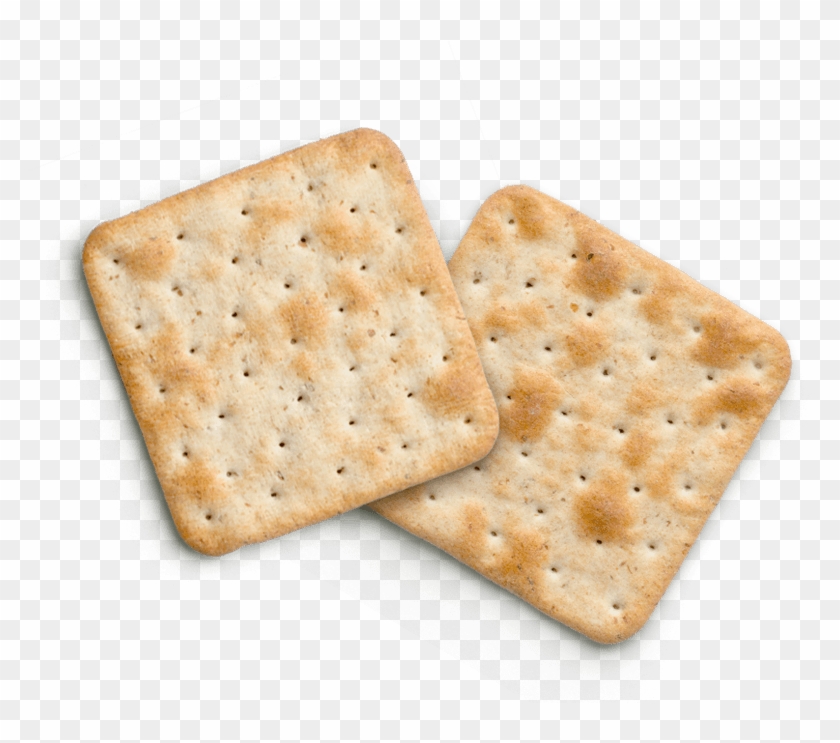 Png Flower Crown - Bizcochito Clipart