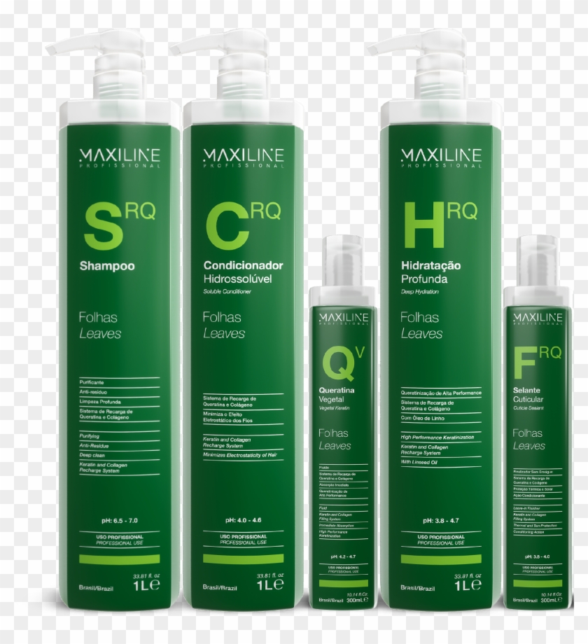 Folhas Profissional - Bottle Clipart