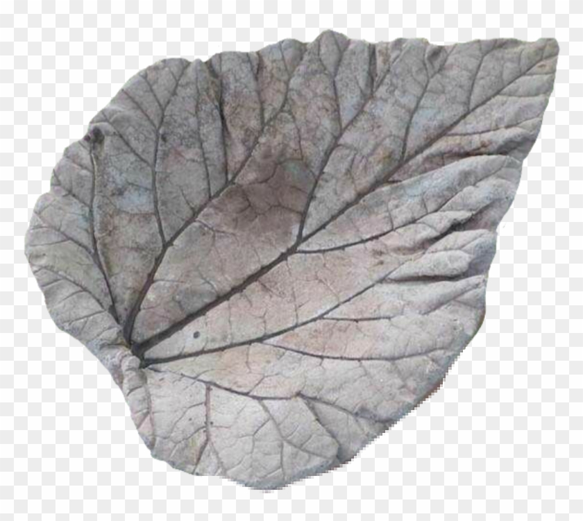 Folhas Sticker - Concrete Clipart #3720083