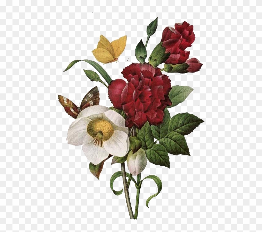 Ilustración De Botánica, Hombreras, Ramos De Flores, - Book Of Flowers Taschen Clipart