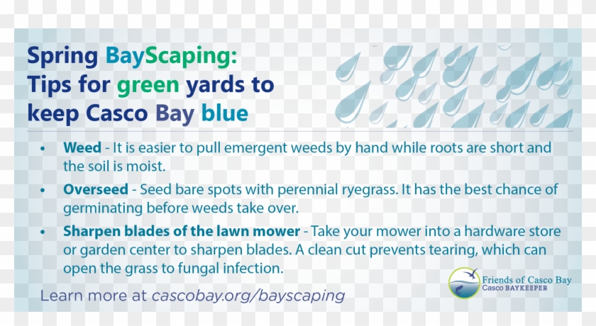 Friends Of Casco Bay - Baninter Clipart