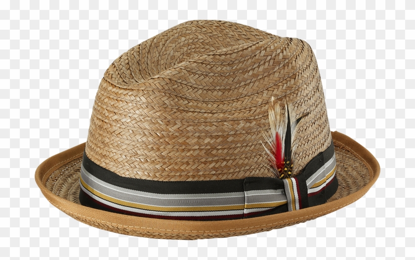 Coconut Stingy - Fedora Clipart