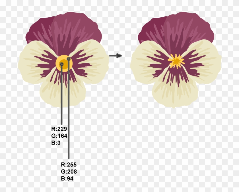 Creating Pistil And Stamens - Pansies Pistils And Stamens Clipart #3722484
