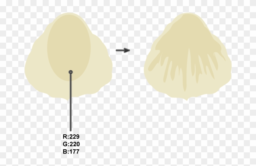 Creating The Shadow On The Petal Clipart #3722942