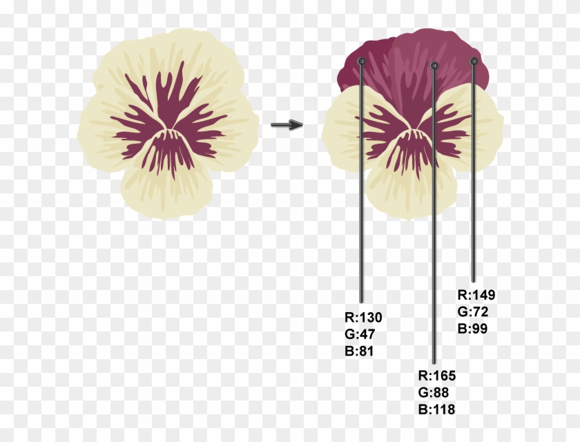 Creating 4th And 5th Petals - Dianthus Clipart