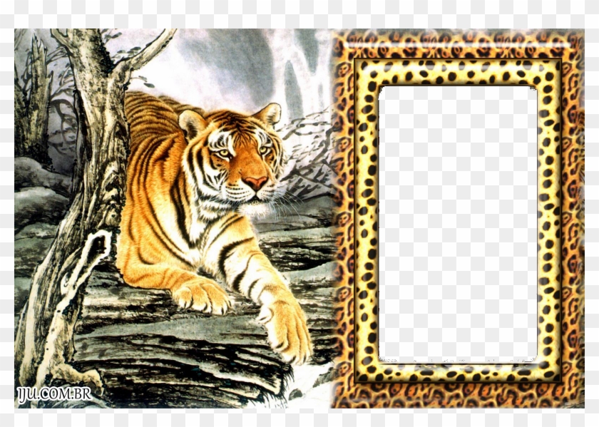 Molduras Para Fotos De Animais Clipart #3723453