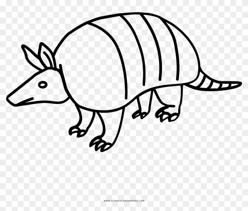 Desenho De Tatu Para Colorir - Desenho Do Tatu Para Colorir Clipart #3723989