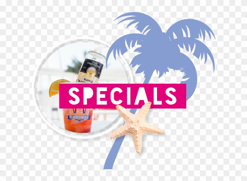 The Place To Eat, Place To Drink, Place To Dance, And - Starfish Clipart #3724082