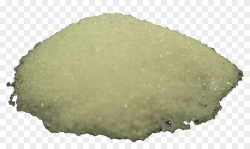 Salt Trans - Plant Clipart