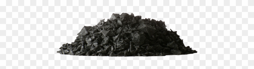 Mussel Clipart #3724966