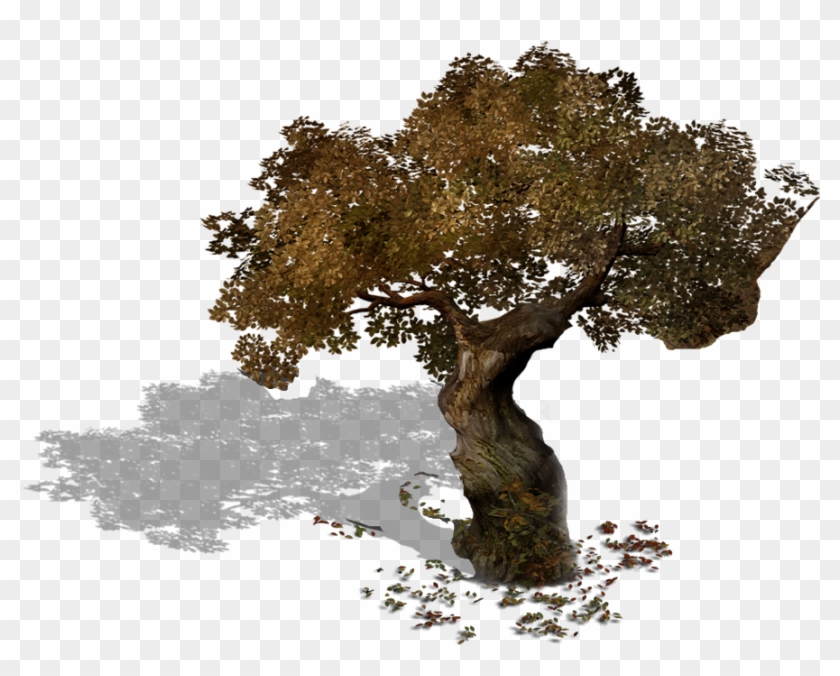 Game Textures - Oak Clipart