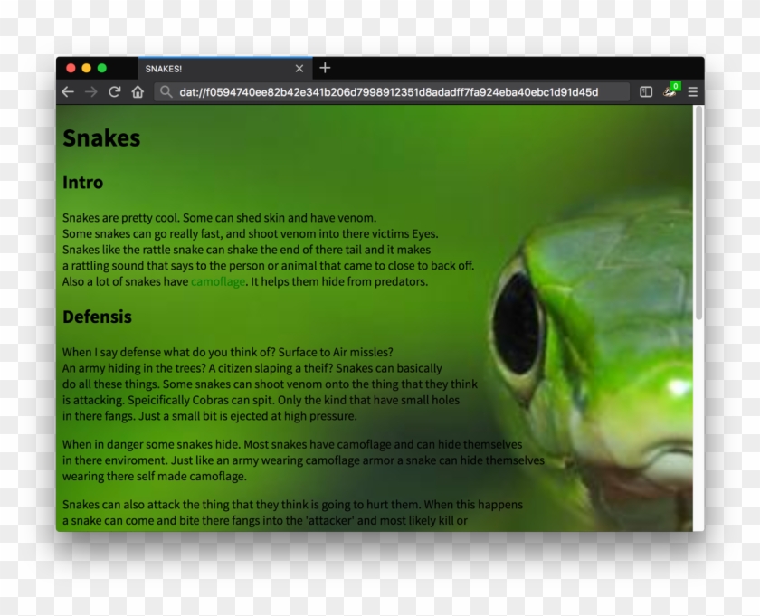 André Staltz - Insect Clipart