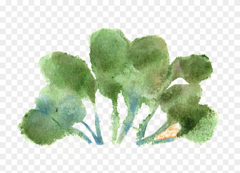 Watercolor Paint , Png Download - Watercolor Paint Clipart #3726711