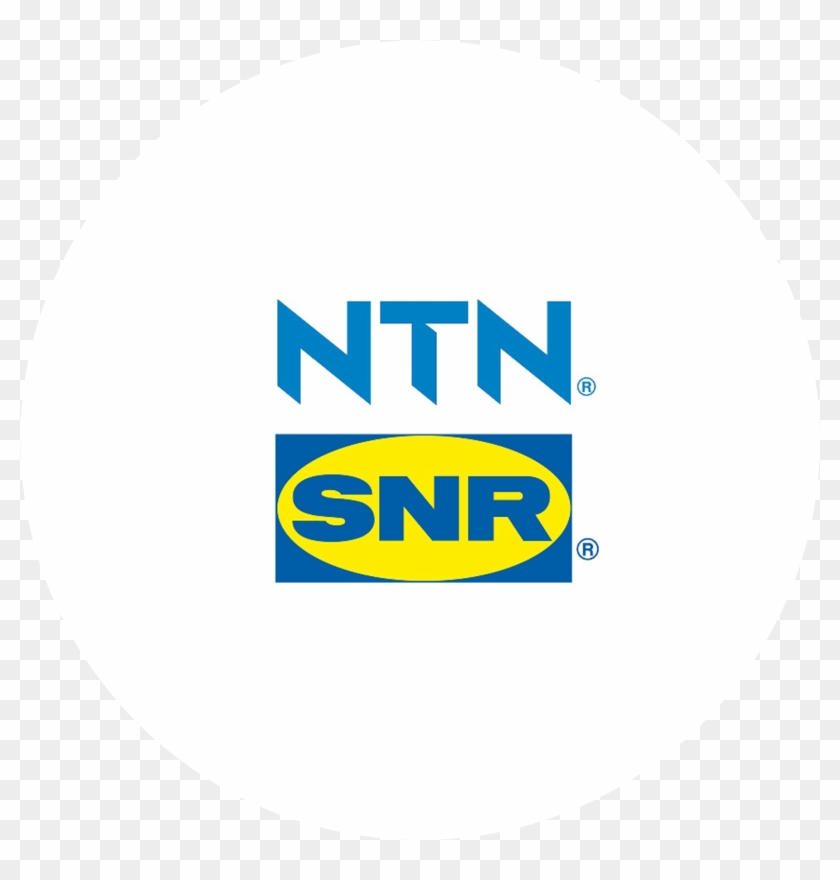 Temoignage Snr - Circle Clipart #3726744