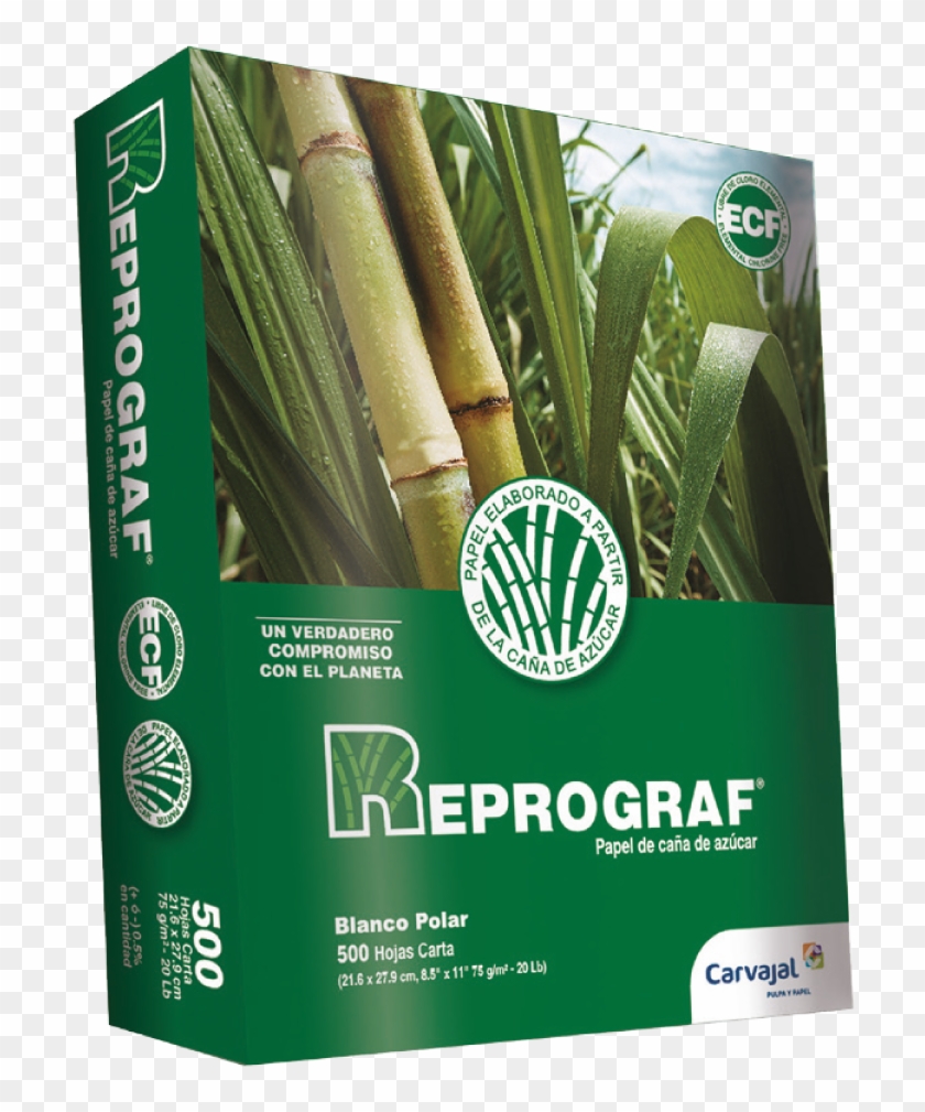 Resmas De Papel - Reprograf Clipart