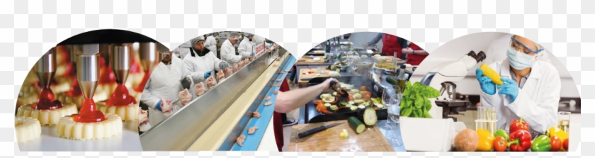 Banniere - Fish Clipart