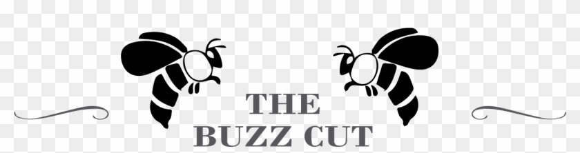 The Buzz Cut No Background - Burberry Clipart