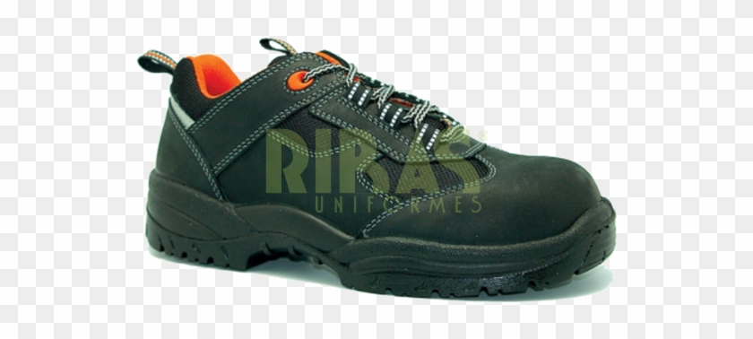 Calzado - Sneakers Clipart #3728713