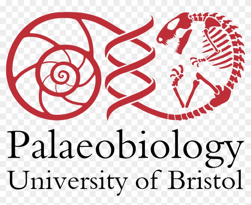 Red And Black And Transparent, 1500 Dpi, Png - University Of Bristol Palaeobiology Clipart #3729337