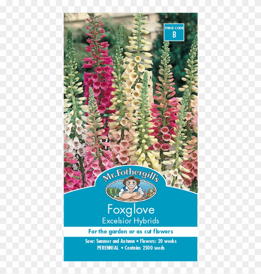 Mr Fothergill's Foxglove Excelsior Seeds - Foxgloves Bunnings Clipart #3730019
