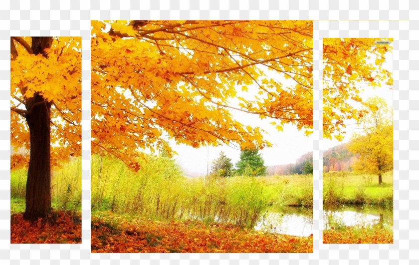Autumnsplash Alt Banner Clipart #3730129