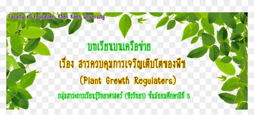 Diseases Of Neem Tree Clipart