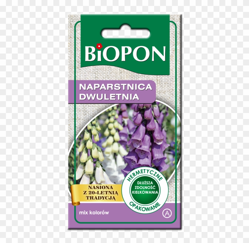 Biennial Foxglove, Mixed Colours - Nasiona Papryki Słodkiej Biopon Clipart #3731162