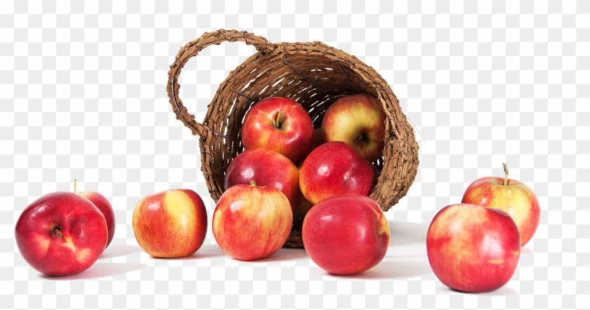 Home » Recipes » Apples - Mcintosh Clipart #3731517
