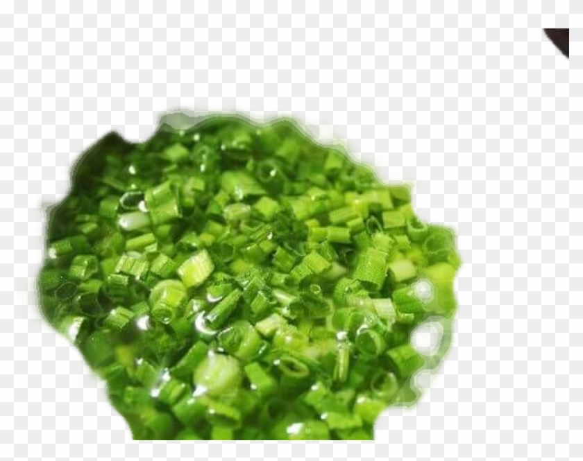 Green Onion Green Onion - Bead Clipart