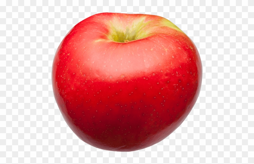 Apple Fruit Clipart #3732065