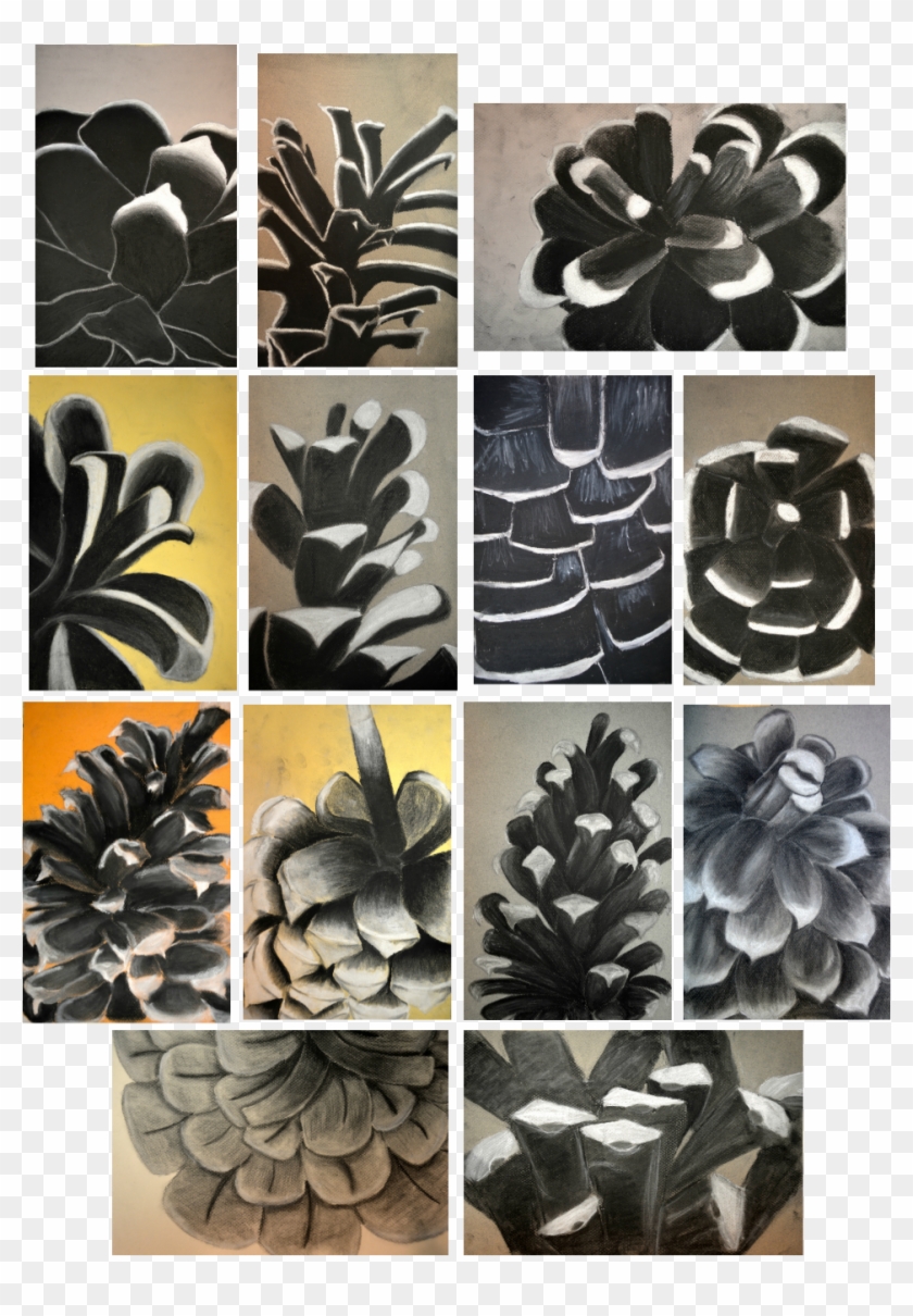 Home Pinecones By - Artificial Flower Clipart