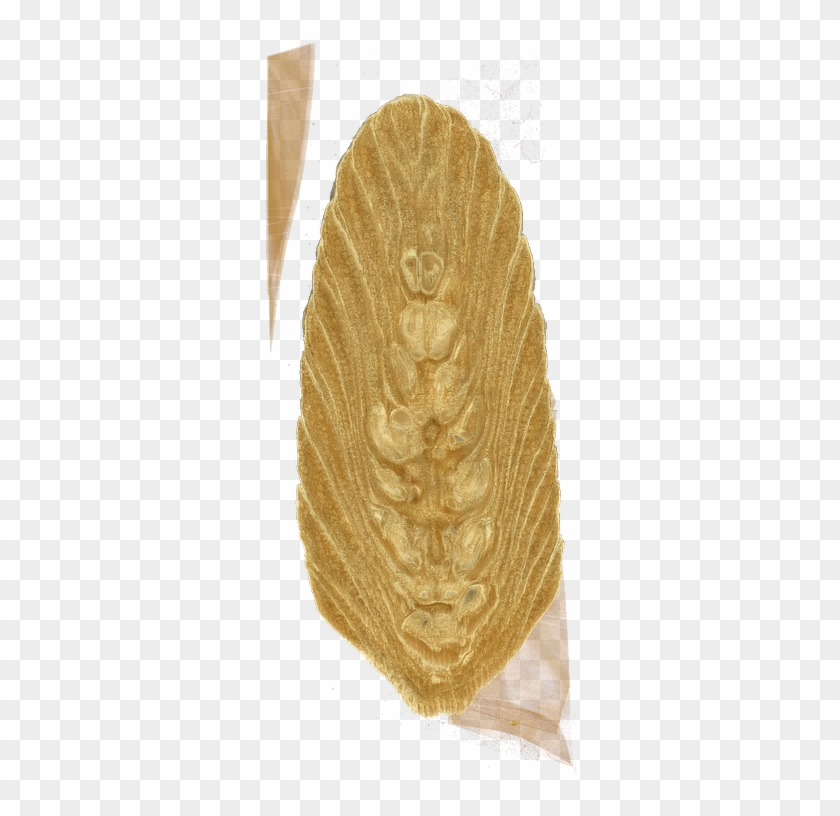 16 Feb 2018 From Brussels, Belgium - Fast Food Clipart #3732724