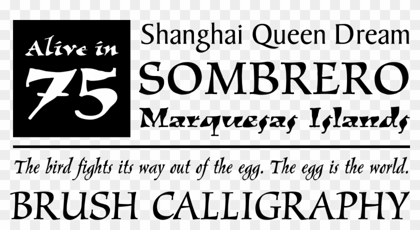 Web Typography Essentials - Calligraphy Clipart