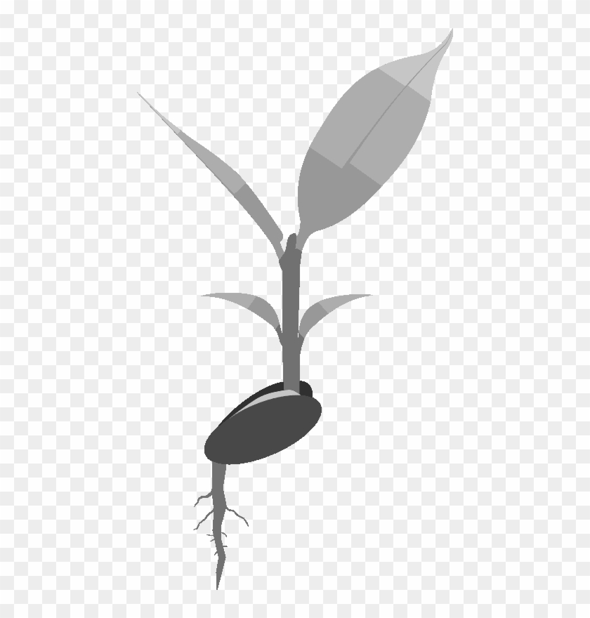 Input Plant And Root Clipart #3733338