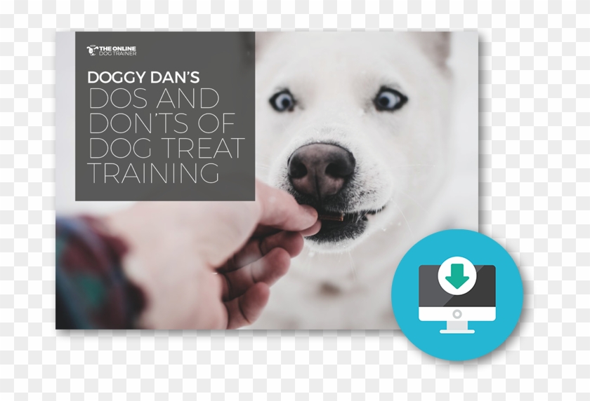 Dos And Don'ts Of Dog Treat Training - Dog Clipart