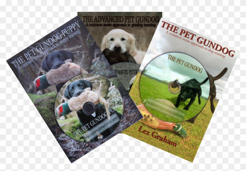 The Pet Gundog Book Series - Labrador Retriever Clipart