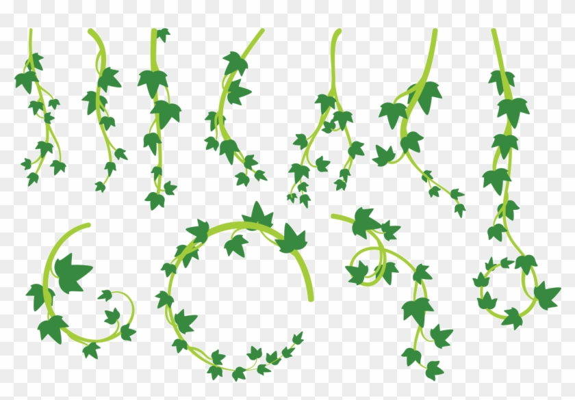 Dibujo Lianas Png Clipart