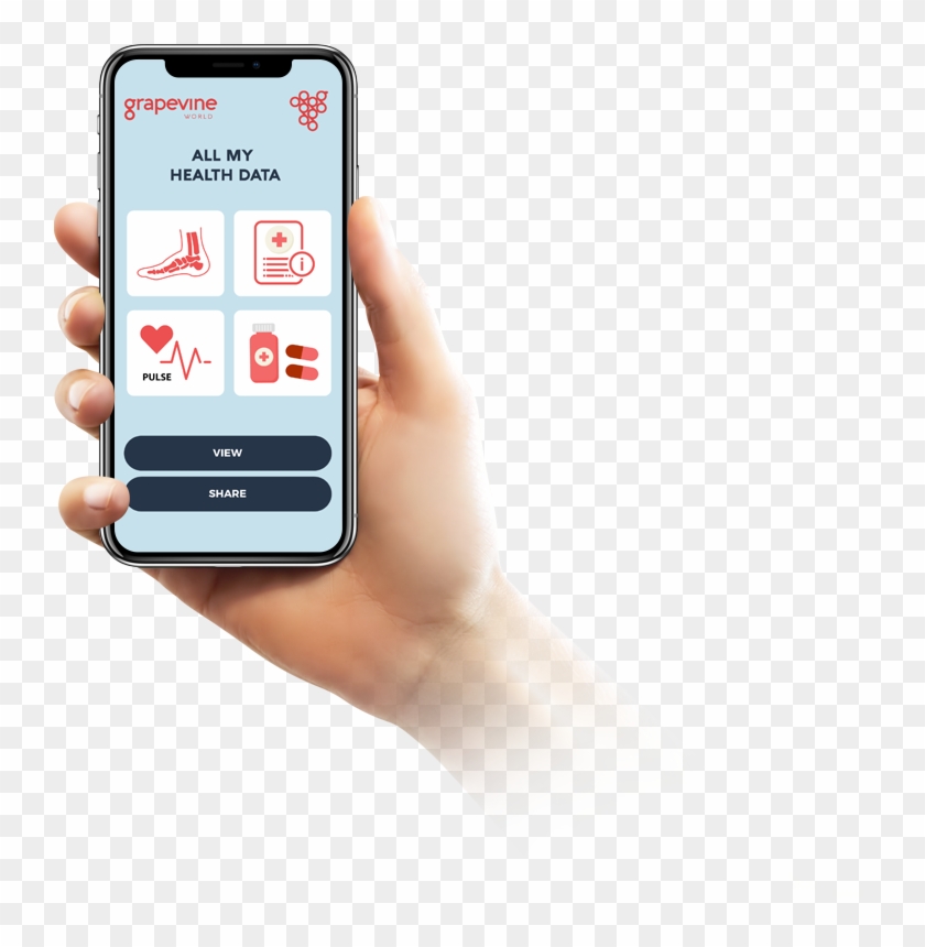 Phone - Hand With Mobile Png Clipart #3735063