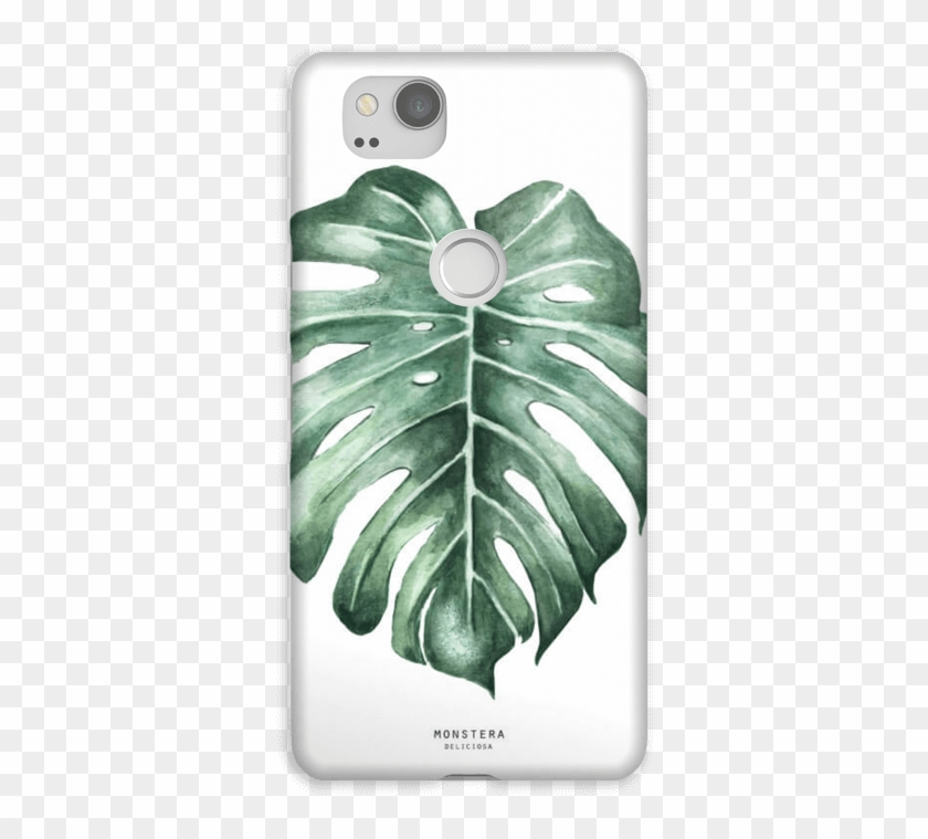 Monstera Deliciosa Case Pixel - Swiss Cheese Plant Clipart